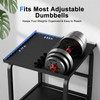 Adjustable Dumbbell Stand Rack Only, 500lbs Capacity Dumbbell Kettlebell Storage