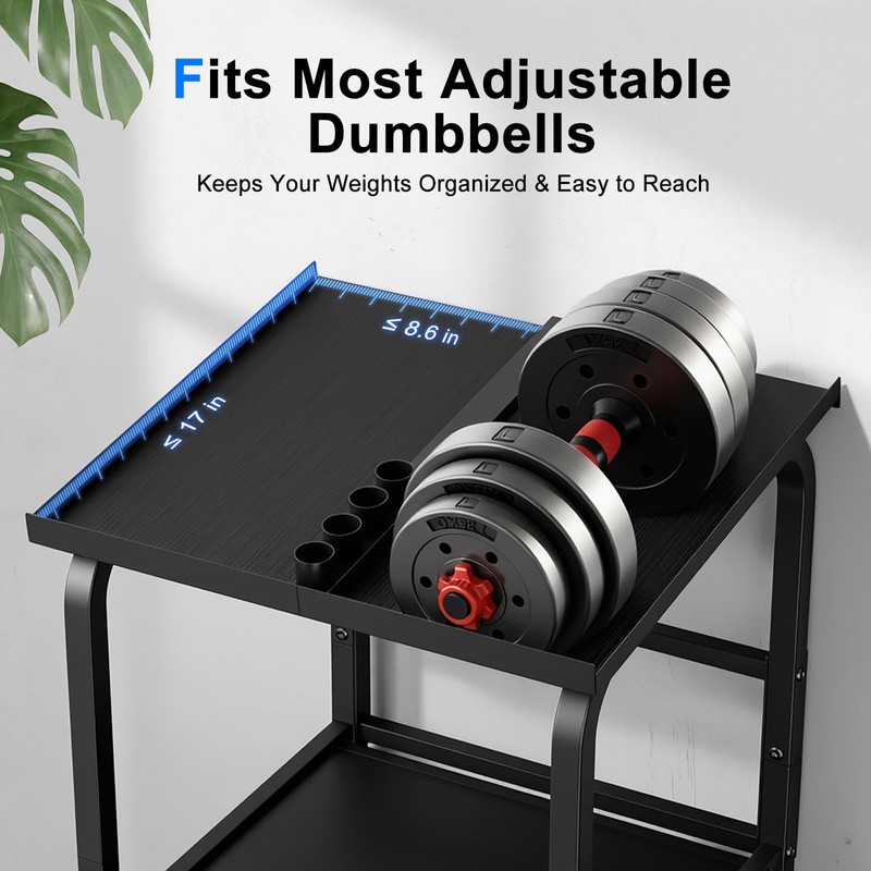 Adjustable Dumbbell Stand Rack Only, 500lbs Capacity Dumbbell Kettlebell Storage
