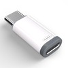 INF Lightning Adapter (Female) to USB-C (Male), Compatible with USB-A