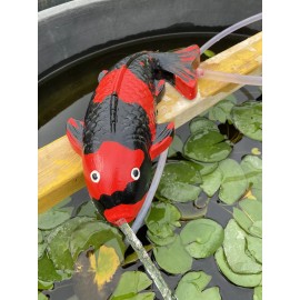 Unbranded 12" Concrete HI UTSURI Koi fish Fountain Pond Spitter Garden Statue (1/2"hose)