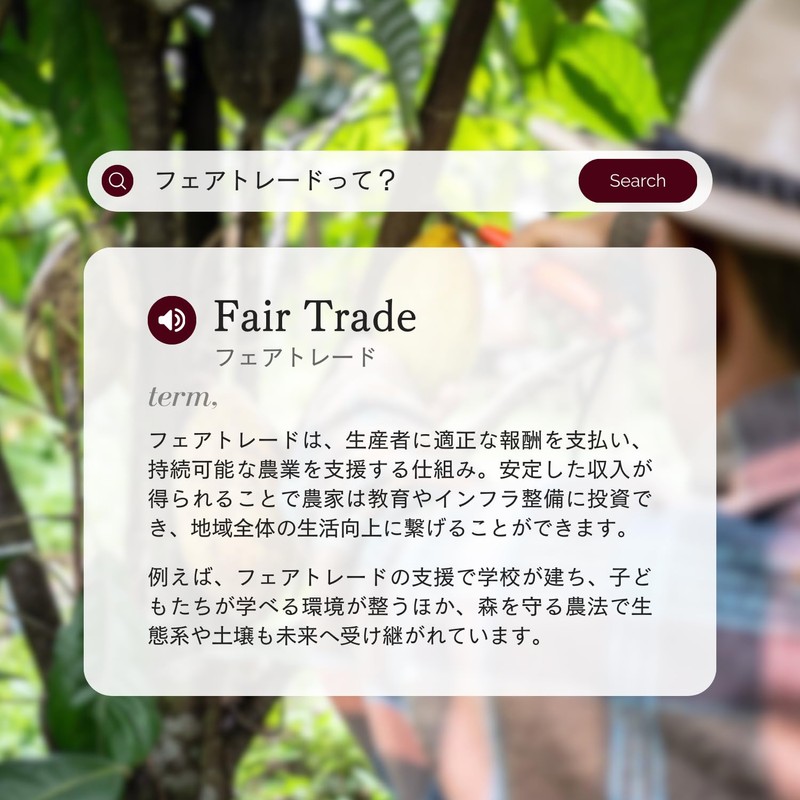 Naturecan ホエイプロテイン (プロテイン 21g)ダイエット/低糖質/低脂質 (640g 20食分 ダークチョコ味)