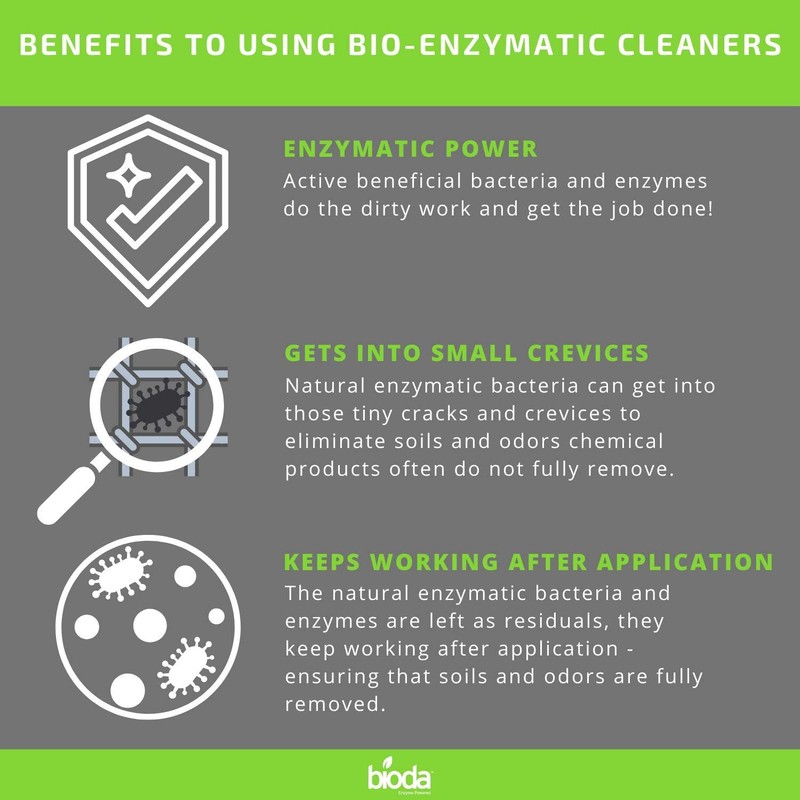 Bioda Professional Strength Enzyme Drain Cleaner, Septic Safe Drain Odor