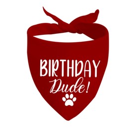 JXGZSO 1 Piece Birthday Dude Dog Bandana Dog Birthday Party Puppy Bandana (Birthday Dude Dog)