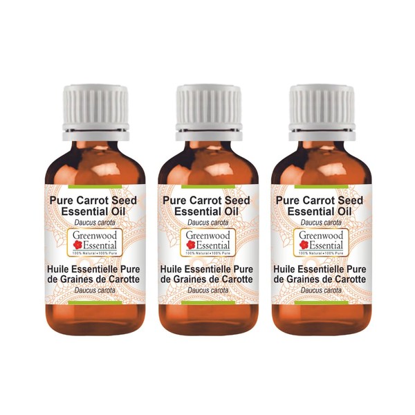 Greenwood Essential Pure Carrot Seeds Essential Oil (Daucus Carota) Natural Therapeutic Quality Steam Distilled (Pack of Three) 100 ml x 3 (10 oz)