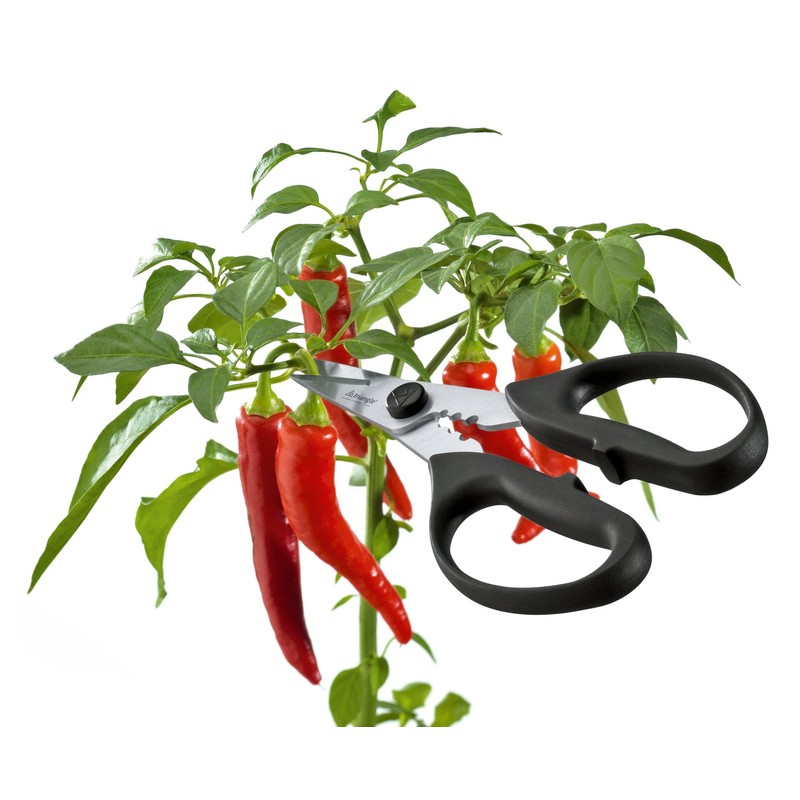 Triangle 50 478 09 02 Herb Scissors, Steel, Black/Silver –