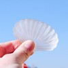 Dickly Selenite Bowl Hand Carved Decoration Collection Carving Shell Shell