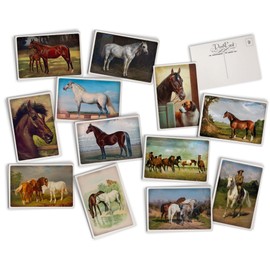 Hill Valley Greetings Vintage Horses Postcards - 24 Vintage Postcards - 12 Assorted Retro Horse Prints - Printed on Antique Textured Style Cardstock