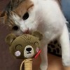 GiGwi Cat Toy Matatabi Toy Charm Stick Bear