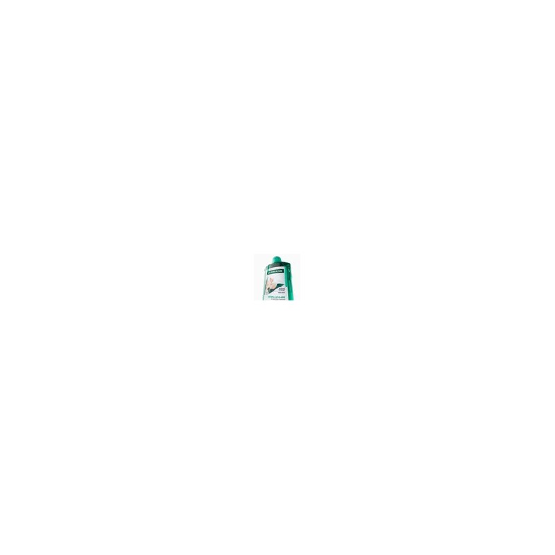 클로란 [지루성두피&가려움케어] 갈랑가 진저 비듬 샴푸 400ml x 2개 +