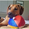 Fluff & Tuff Beach Ball, , 7"