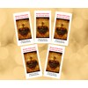 Surrender Novena 5 pack