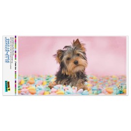 GRAPHICS & MORE Yorkie Yorkshire Terrier Dog Candy Eggs Easter Automotive Car Window Locker Bumper Sticker