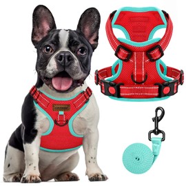 FAYOGOO Dog Harness, No-Pull Pet Harness Set for Small Medium Large Dogs Walking, No Choke Front Clip Dog Reflective Harness, Adjustable Soft Padded Pet Vest with Easy Control Handle(Red,M)