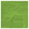 Creative Converting 6631123B 5" Lime Green 2-Ply Luncheon Napkins 50