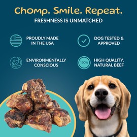 TREATOPIA Adventure Dog Bones, Knee Caps, 8 PC - All-Natural, Dogs Love Them, Long-Lasting, Healthy, Single Ingredient, Hand-Trimmed, Slow-Roasted, Made in The USA, No Additives, No Fillers