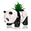 Half Forest Panda Ceramic Flower Pot Succulent Pots Creative Cartoon
