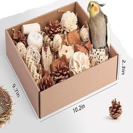 LimCryspp Natural Foraging and Biting Toy Box, an Interactive Biting Toy Suitable for Tiger Skin, Black Phoenix, Cone-Tailed, Peony Parrot and Small and Medium-Sized Birds