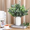 Ceenna 30 Pcs 6 Kinds Mixed Eucalyptus Leaves Stems Bulk