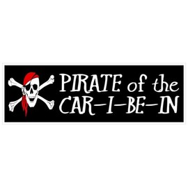 Generic Pirate of The Car I Be in Bumper Sticker 3"" x 9"" D7209, White