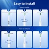 Toolsy 10 Pack Toothbrush Replacement Heads Compatible with Bitvae D2