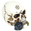 Alchemy England Alchemist Skull: Miniature Skull Unisex Skull Standard, resin,