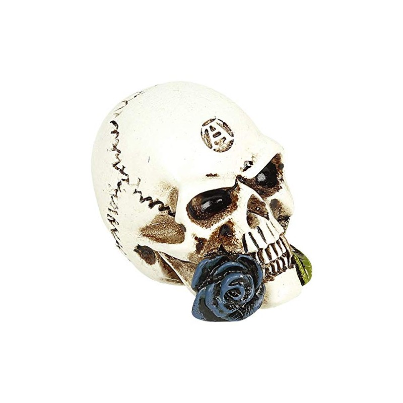 Alchemy England Alchemist Skull: Miniature Skull Unisex Skull Standard, resin,