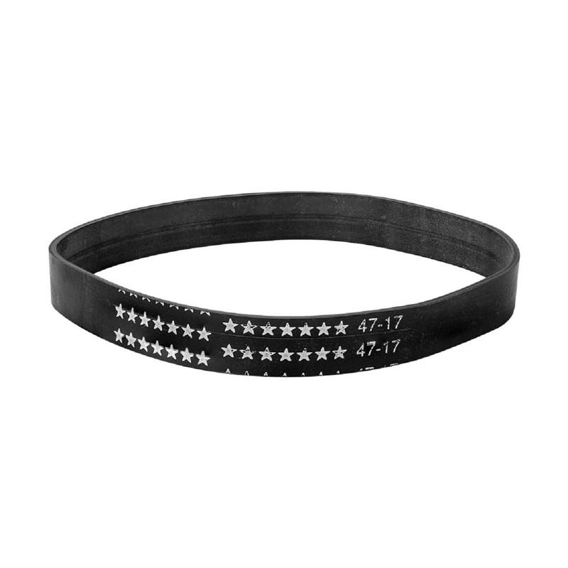 Vacmaster 2 Premium Foam Filters & 1 Vacuum Belt Replacement