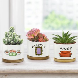 KONROOWEI 3 Pcs Friends tv Show Merchandise Ceramic Plant Pots,Funny Friends Decor Themed Gifts for Women,for House Plants Garden Planters Succulent Pots(Not Included Plants)