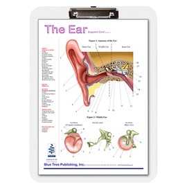 Ear Insert clipboard