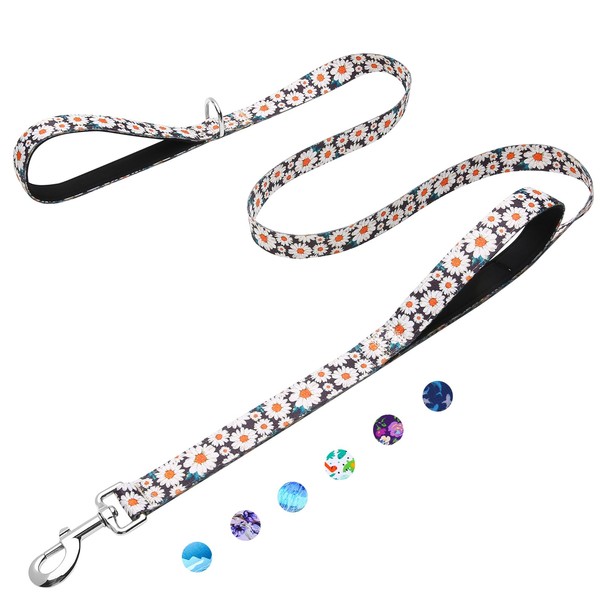 Fidohug 6ft Dog Leash with Two Padded Handles, Heavy Duty