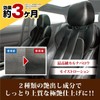 Prostaff C-88 Car Wash Supplies, Glacias Gold Leather Protector, 6.1