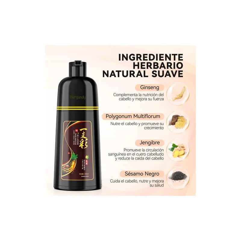 Shampoo Tinte Instantáneo Cubre Canas Natural Jengibre 500ml