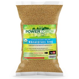 Organic Wheatgrass Seed - Certified Organic Hard Red Wheat by PowerGrow (5 Pound)