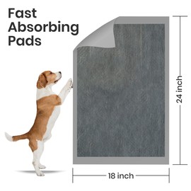 FPN Charcoal Pee Pads for Dogs | 18x24 Inches Pads 200 Count | Puppy Pads | Extra Absorbent | Heavy Duty Dog Pads | 5 Layer Pads for Instant Absorption, (Medium)