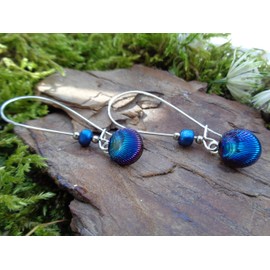 ⊹⊱✿★SCHIMMERND BLAUE MUSCHE OHRRINGE ★✿⊰⊹ tolle Urlaubs Ohrringe in Regenbogen Blau an langen Kidney Haken