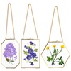 JuxYes 3Pcs Glass Frames for Pressed Flowers, Golden Hanging Picture