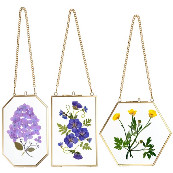 JuxYes 3Pcs Glass Frames for Pressed Flowers, Golden Hanging Picture
