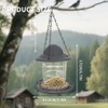 Foldable Bird Feeder, Durable Plastic, Squirrel-Proof Roof, Easy to Clean