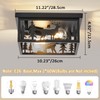 Monyohame Farmhouse Rustic Deer Ceiling Light Fixtures, Vintage Metal Cage