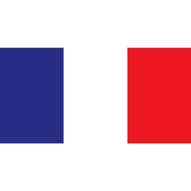 CafePress Flag of France Large Beach Towel, Soft Towel with Unique Design