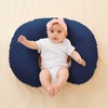Nursing Pillow Cover Breastfeeding Pillow Cases Minky Dot Slipcover (Estate