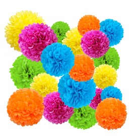 AimtoHome Party Tissue Paper Pom Poms 20 Pcs Tissue Paper Flowers Hanging Decorations for Birthday , Wedding, Bachelorette, Bridal Shower, Graduations, Baby Shower Decor (Multicolor)