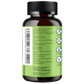 NATURELO NATURELO Vegan Iron Supplement with Vitamin C and Organic Whole Foods - Gentle Iron Pills for Women & Men with Iron Deficiency Including Pregnancy, Anemia and Vegan Diets - 90 Mini Capsules