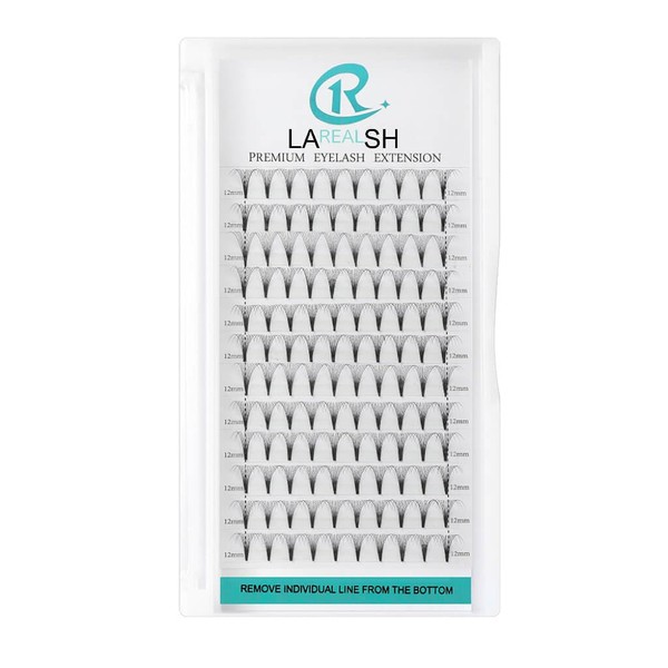 Short Stem 10D Premade Fans Eyelash Extensions Handmade 0.07 C/D