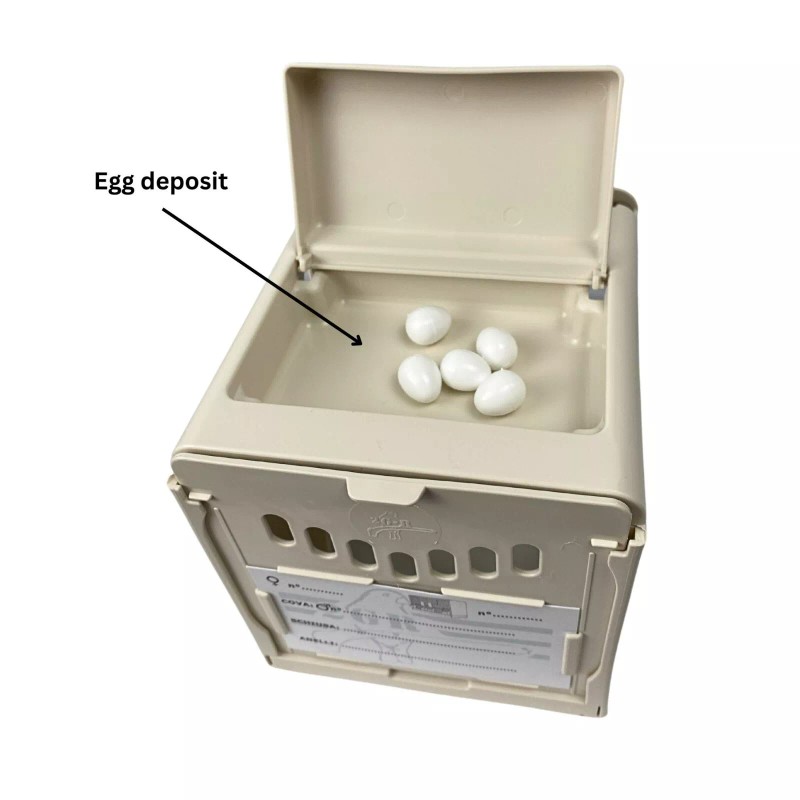 2Gr Complete De-attachable Plastic Bird Nest Box