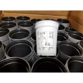 Summit Plastic 24pcs, Summit 01-50450-2420, 5"Janorpot, Starter Plant Pot, Sbwh-0000 yy