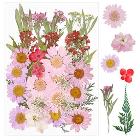 Cayway 36 PCS Natural Dried Pressed Flowers, Natural Dried Pressed Leaves, Natural Dry Flowers Leaves for Pressed Leaf Art Craft DIY Embellishment Decorations, Pink
