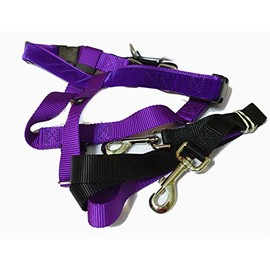 2 Hounds Design Freedom No-Pull Dog Harness with Leash, Medium, 5/8-Inch Wide, Purple