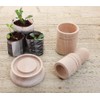 Greena® Seedling Paper Potter - Makes 2 Sized Paper Pots!