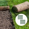 Pack of 22 Ground Nails, Lawn Edging, Plastic, Robust, 24